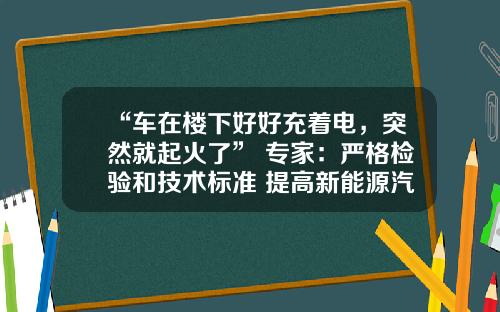 “车在楼下好好充着电，突然就起火了” 专家：严格检验和技术标准 提高新能源汽车运行安全水平.