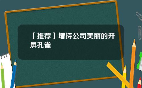 【推荐】增持公司美丽的开屏孔雀