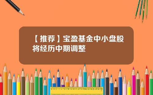 【推荐】宝盈基金中小盘股将经历中期调整