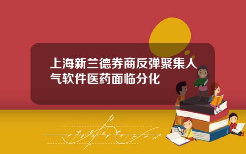 上海新兰德券商反弹聚集人气软件医药面临分化