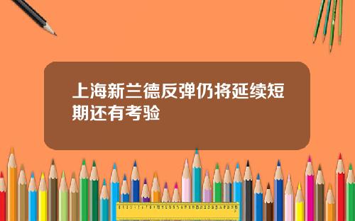 上海新兰德反弹仍将延续短期还有考验