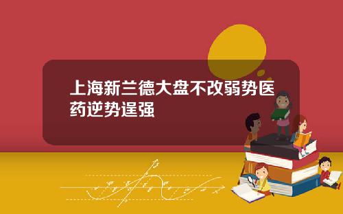 上海新兰德大盘不改弱势医药逆势逞强