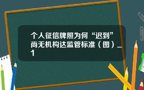 个人征信牌照为何“迟到”尚无机构达监管标准（图）_1