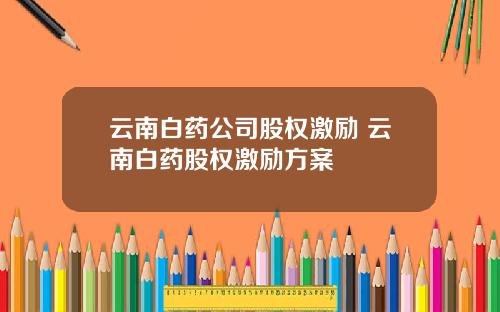 云南白药公司股权激励 云南白药股权激励方案