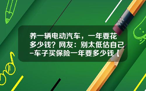 养一辆电动汽车，一年要花多少钱？网友：别太低估自己-车子买保险一年要多少钱【新闻】.