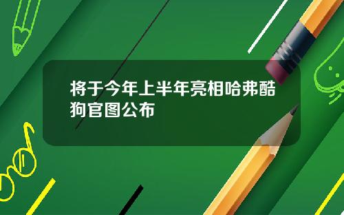 将于今年上半年亮相哈弗酷狗官图公布