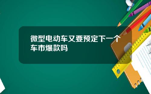 微型电动车又要预定下一个车市爆款吗