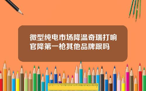 微型纯电市场降温奇瑞打响官降第一枪其他品牌跟吗