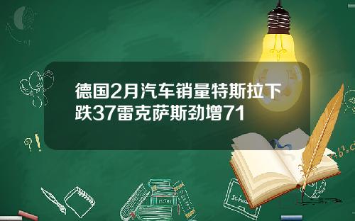 德国2月汽车销量特斯拉下跌37雷克萨斯劲增71