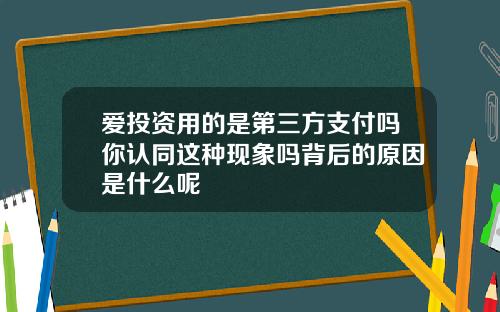 爱投资用的是第三方支付吗你认同这种现象吗背后的原因是什么呢