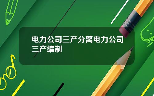 电力公司三产分离电力公司三产编制