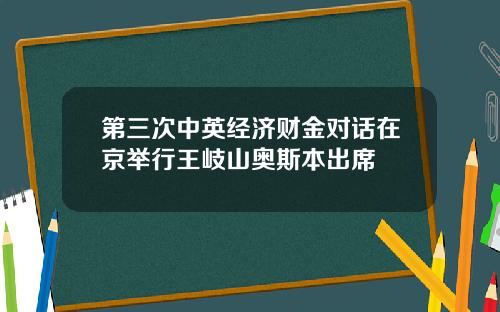第三次中英经济财金对话在京举行王岐山奥斯本出席