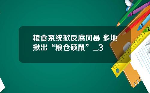 粮食系统掀反腐风暴 多地揪出“粮仓硕鼠”_3