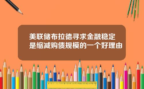 美联储布拉德寻求金融稳定是缩减购债规模的一个好理由