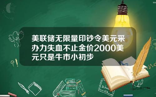 美联储无限量印钞令美元采办力失血不止金价2000美元只是牛市小初步
