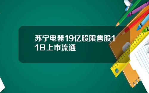 苏宁电器19亿股限售股11日上市流通