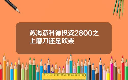 苏海彦科德投资2800之上磨刀还是砍柴