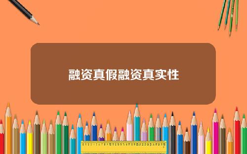 融资真假融资真实性