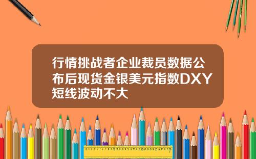 行情挑战者企业裁员数据公布后现货金银美元指数DXY短线波动不大