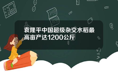 袁隆平中国超级杂交水稻最高亩产达1200公斤