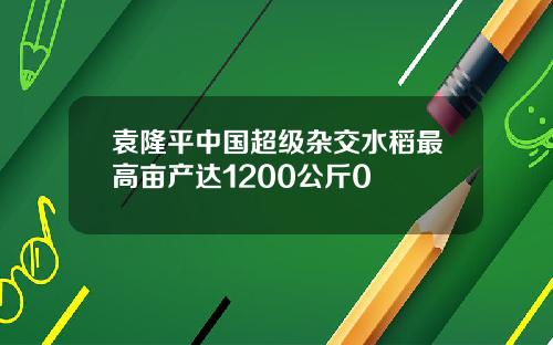 袁隆平中国超级杂交水稻最高亩产达1200公斤0