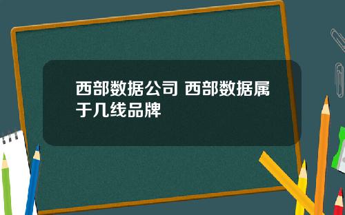 西部数据公司 西部数据属于几线品牌