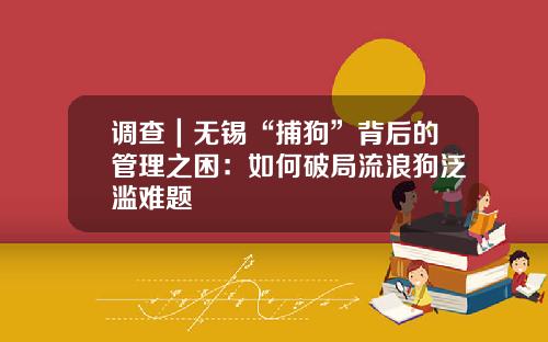 调查｜无锡“捕狗”背后的管理之困：如何破局流浪狗泛滥难题