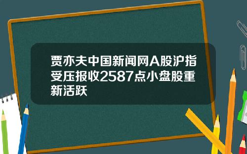 贾亦夫中国新闻网A股沪指受压报收2587点小盘股重新活跃