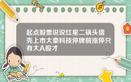 起点股票说说红星二锅头借壳上市大豪科技停牌前涨停只有大A股才