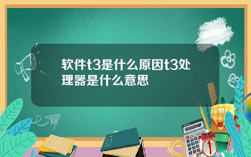 软件t3是什么原因t3处理器是什么意思