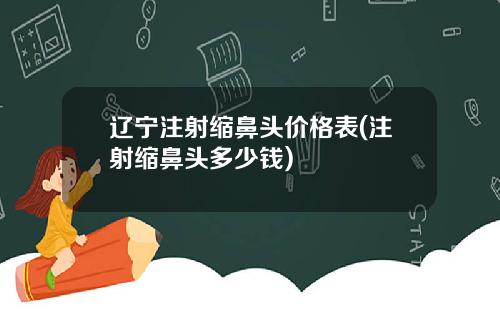 辽宁注射缩鼻头价格表(注射缩鼻头多少钱)
