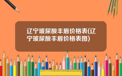 辽宁玻尿酸丰唇价格表(辽宁玻尿酸丰唇价格表图)