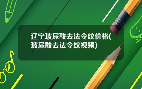 辽宁玻尿酸去法令纹价格(玻尿酸去法令纹视频)