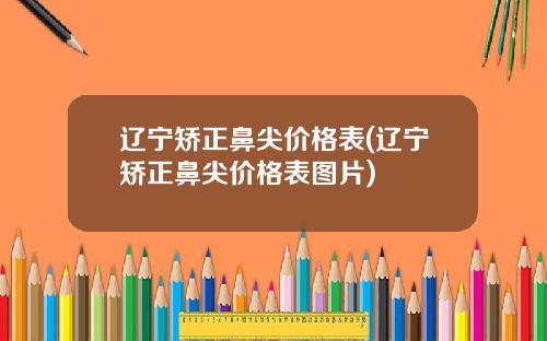 辽宁矫正鼻尖价格表(辽宁矫正鼻尖价格表图片)