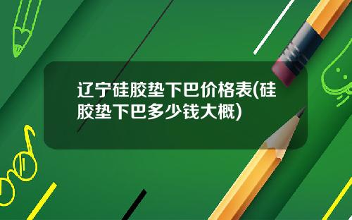 辽宁硅胶垫下巴价格表(硅胶垫下巴多少钱大概)