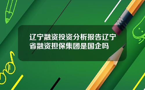 辽宁融资投资分析报告辽宁省融资担保集团是国企吗