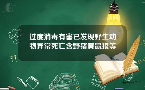 过度消毒有害已发现野生动物异常死亡含野猪黄鼠狼等