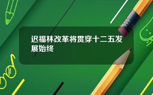 迟福林改革将贯穿十二五发展始终