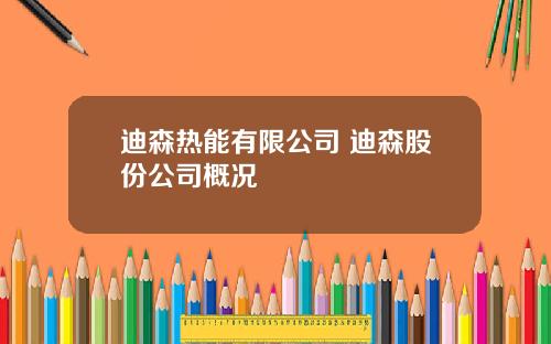迪森热能有限公司 迪森股份公司概况