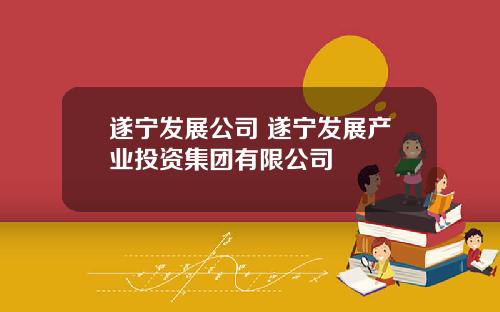 遂宁发展公司 遂宁发展产业投资集团有限公司