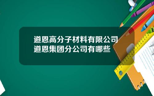 道恩高分子材料有限公司 道恩集团分公司有哪些