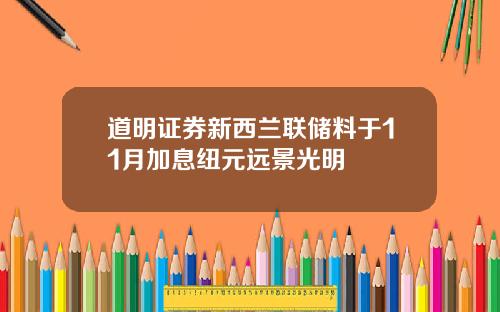 道明证券新西兰联储料于11月加息纽元远景光明