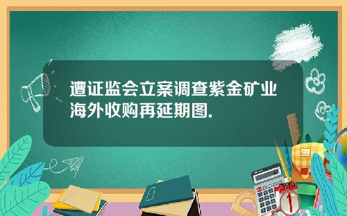 遭证监会立案调查紫金矿业海外收购再延期图.