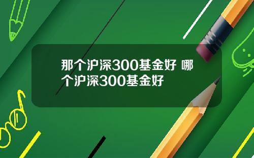 那个沪深300基金好 哪个沪深300基金好