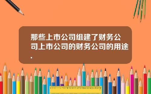 那些上市公司组建了财务公司上市公司的财务公司的用途.
