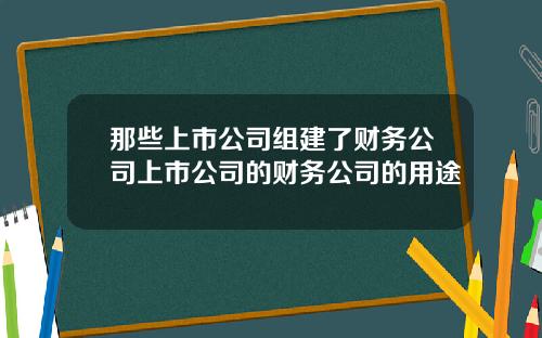 那些上市公司组建了财务公司上市公司的财务公司的用途
