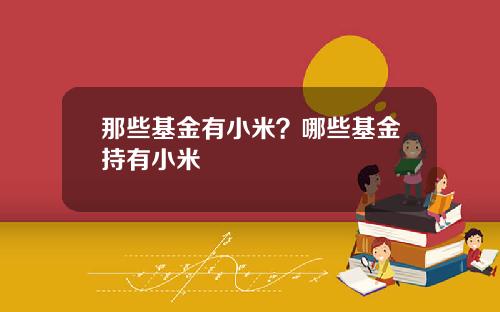 那些基金有小米？哪些基金持有小米
