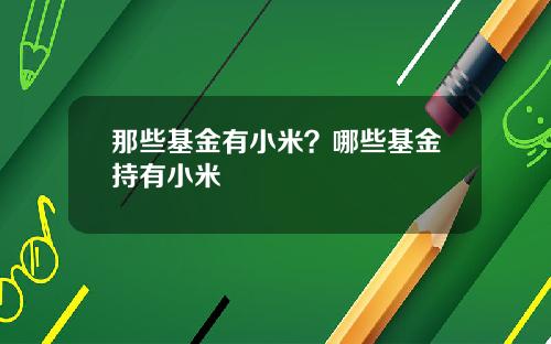 那些基金有小米？哪些基金持有小米