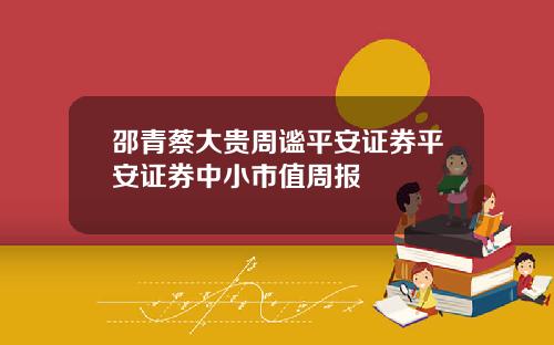 邵青蔡大贵周谧平安证券平安证券中小市值周报