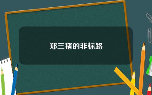 郑三猪的非标路